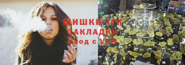 дживик Осташков